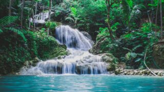 photography of waterfalls between trees
