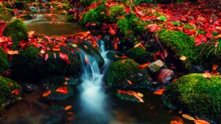 long exposure photography of a stream