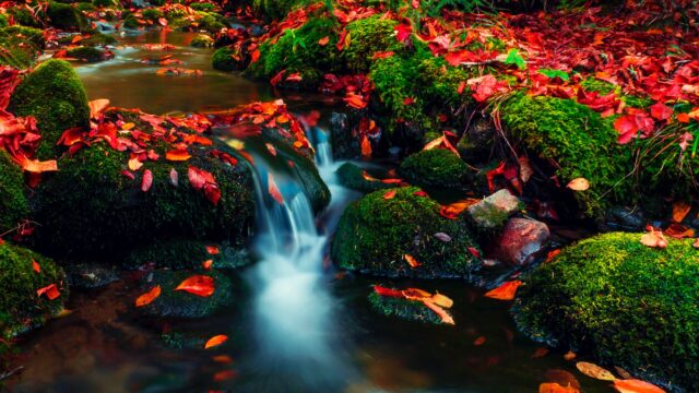 long exposure photography of a stream