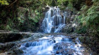 cascading water falls in woods
