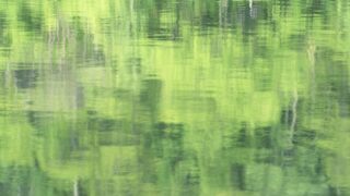 Free abstract green background image