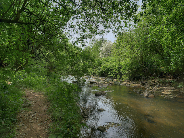 River Medlock, looking downstream
