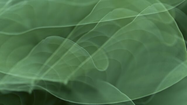 Free abstract green exposure background